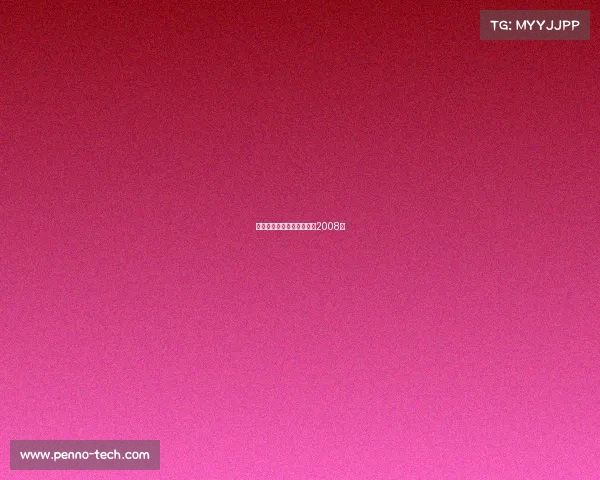 八周年电子竞技—电子竞技2008年